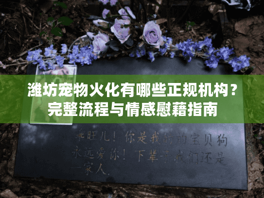 潍坊宠物火化有哪些正规机构？完整流程与情感慰藉指南