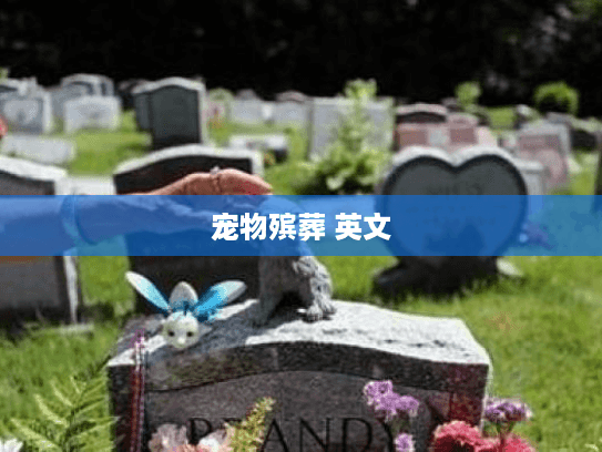 宠物殡葬 英文