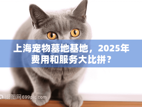 上海宠物墓地基地，2025年费用和服务大比拼？