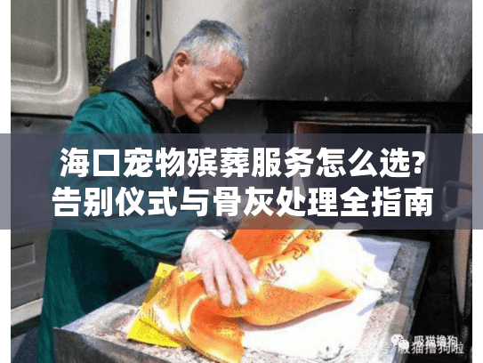海口宠物殡葬服务怎么选?告别仪式与骨灰处理全指南