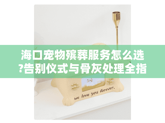 海口宠物殡葬服务怎么选?告别仪式与骨灰处理全指南