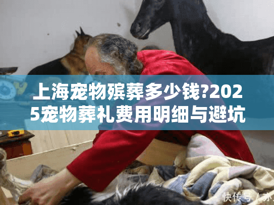 上海宠物殡葬多少钱?2025宠物葬礼费用明细与避坑指南