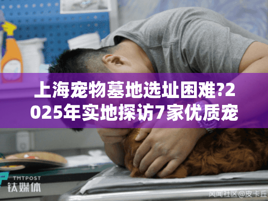 上海宠物墓地选址困难?2025年实地探访7家优质宠物陵园推荐