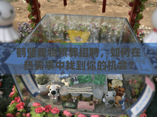 鹤壁宠物殡葬招聘，如何在热需求中找到你的机会？