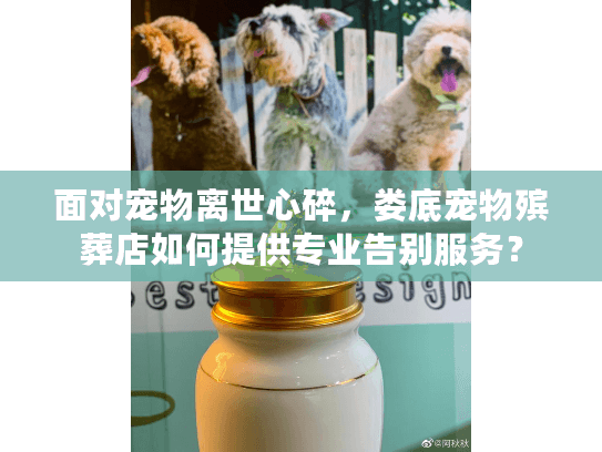 面对宠物离世心碎，娄底宠物殡葬店如何提供专业告别服务？