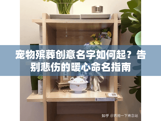 宠物殡葬创意名字如何起？告别悲伤的暖心命名指南