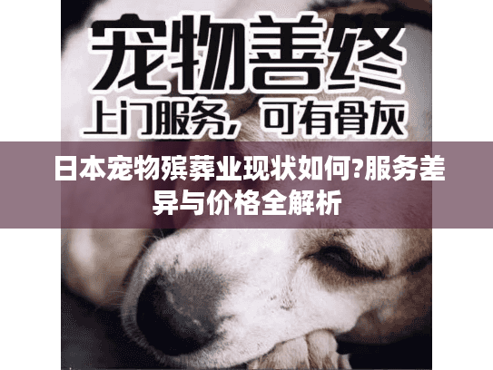 日本宠物殡葬业现状如何?服务差异与价格全解析