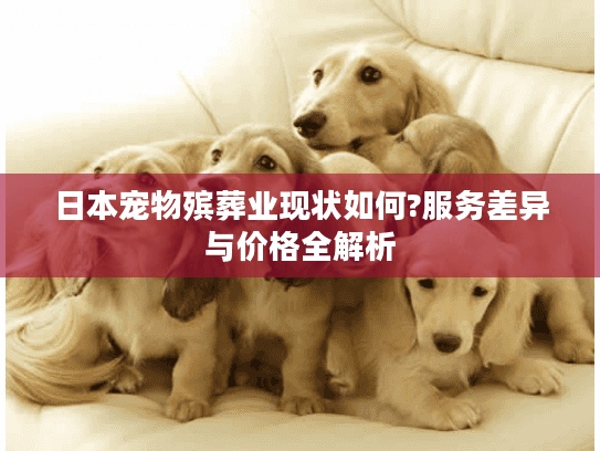 日本宠物殡葬业现状如何?服务差异与价格全解析
