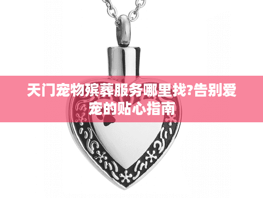 天门宠物殡葬服务哪里找?告别爱宠的贴心指南