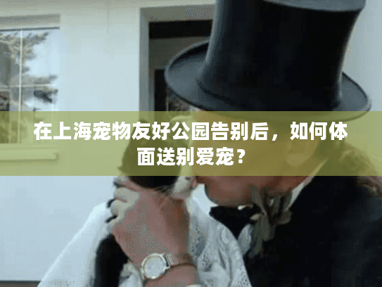 在上海宠物友好公园告别后，如何体面送别爱宠？