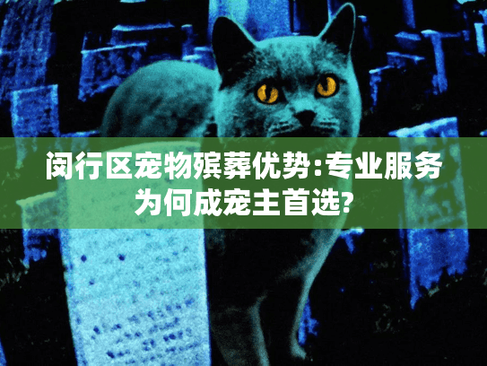 闵行区宠物殡葬优势:专业服务为何成宠主首选?
