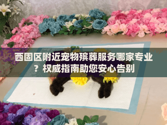 西固区附近宠物殡葬服务哪家专业？权威指南助您安心告别