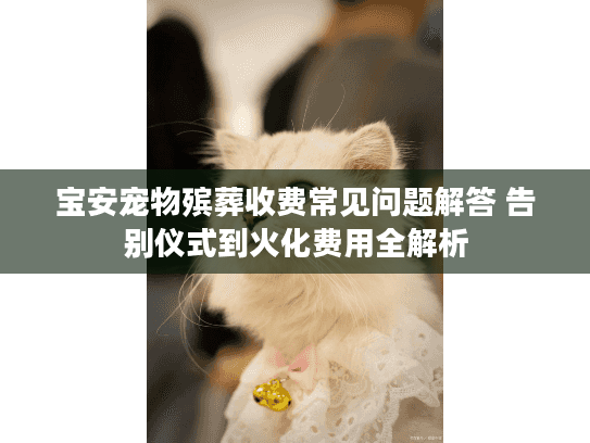 宝安宠物殡葬收费常见问题解答 告别仪式到火化费用全解析