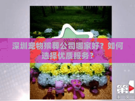 深圳宠物殡葬公司哪家好？如何选择优质服务？