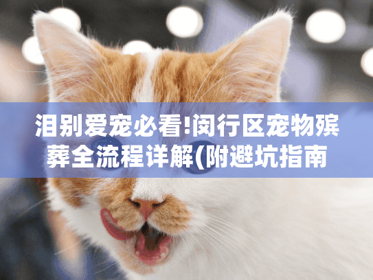 泪别爱宠必看!闵行区宠物殡葬全流程详解(附避坑指南)
