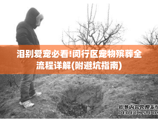 泪别爱宠必看!闵行区宠物殡葬全流程详解(附避坑指南)