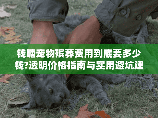 钱塘宠物殡葬费用到底要多少钱?透明价格指南与实用避坑建议