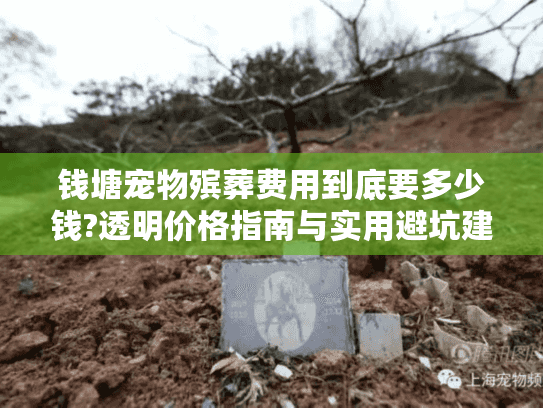 钱塘宠物殡葬费用到底要多少钱?透明价格指南与实用避坑建议