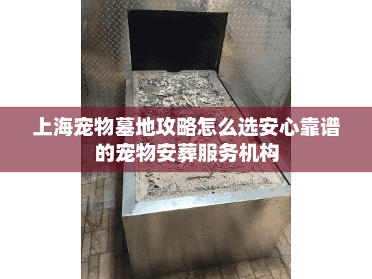 上海宠物墓地攻略怎么选安心靠谱的宠物安葬服务机构