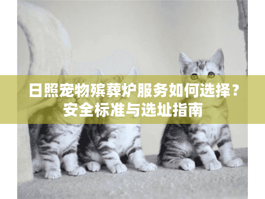 日照宠物殡葬炉服务如何选择？安全标准与选址指南
