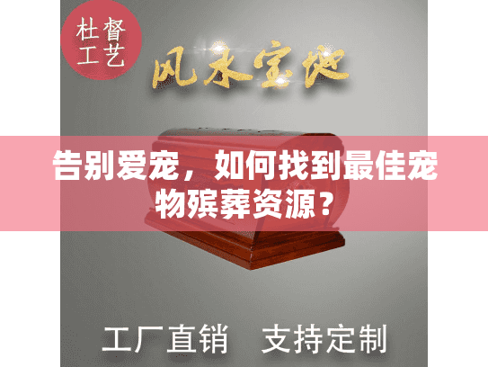 告别爱宠，如何找到最佳宠物殡葬资源？