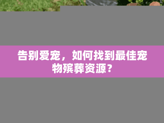 告别爱宠，如何找到最佳宠物殡葬资源？
