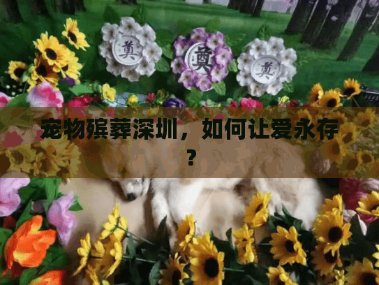 宠物殡葬深圳，如何让爱永存？