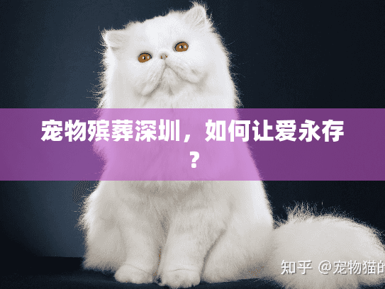 宠物殡葬深圳，如何让爱永存？