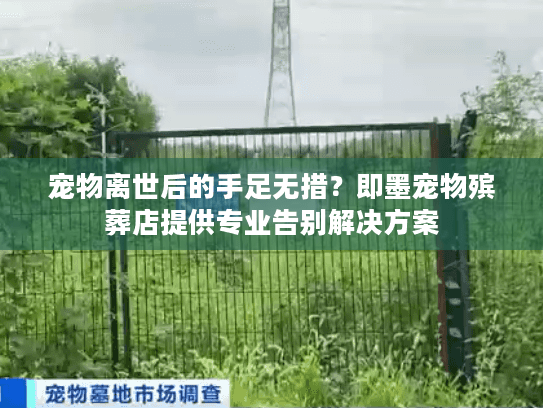 宠物离世后的手足无措？即墨宠物殡葬店提供专业告别解决方案