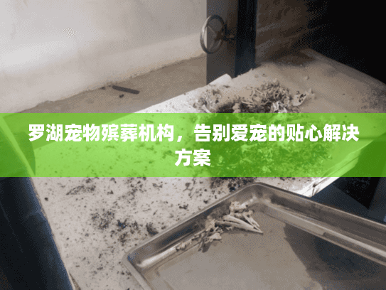 罗湖宠物殡葬机构，告别爱宠的贴心解决方案