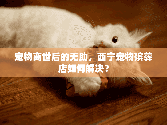 宠物离世后的无助，西宁宠物殡葬店如何解决？