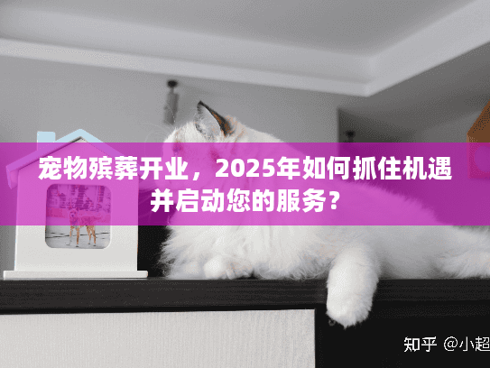 宠物殡葬开业，2025年如何抓住机遇并启动您的服务？