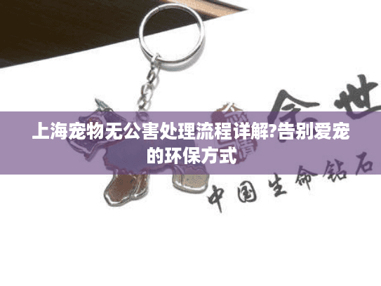 上海宠物无公害处理流程详解?告别爱宠的环保方式