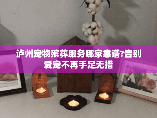 泸州宠物殡葬服务哪家靠谱?告别爱宠不再手足无措
