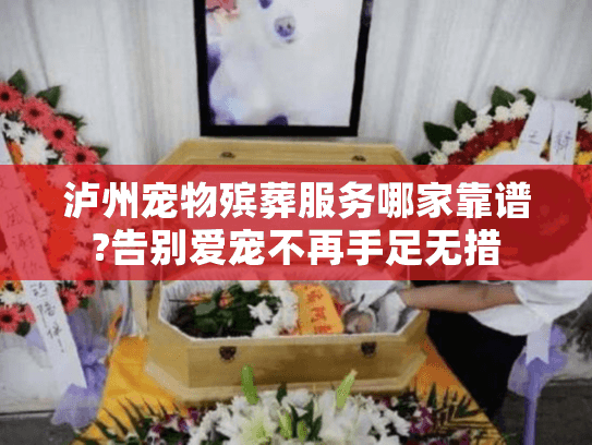 泸州宠物殡葬服务哪家靠谱?告别爱宠不再手足无措