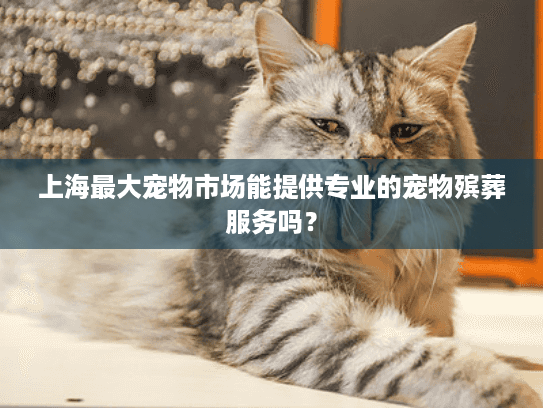 上海最大宠物市场能提供专业的宠物殡葬服务吗？