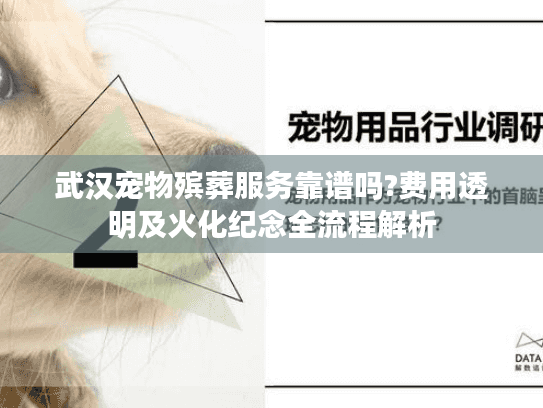 武汉宠物殡葬服务靠谱吗?费用透明及火化纪念全流程解析
