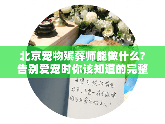 北京宠物殡葬师能做什么?告别爱宠时你该知道的完整服务清单