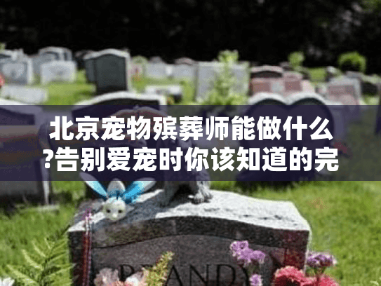 北京宠物殡葬师能做什么?告别爱宠时你该知道的完整服务清单
