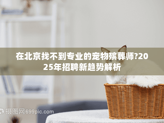 在北京找不到专业的宠物殡葬师?2025年招聘新趋势解析