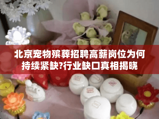 北京宠物殡葬招聘高薪岗位为何持续紧缺?行业缺口真相揭晓