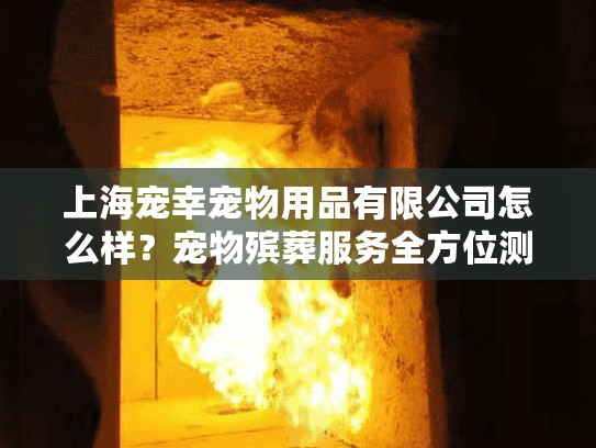 上海宠幸宠物用品有限公司怎么样？宠物殡葬服务全方位测评指南