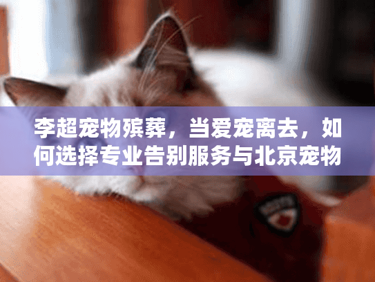 李超宠物殡葬，当爱宠离去，如何选择专业告别服务与北京宠物火化方案