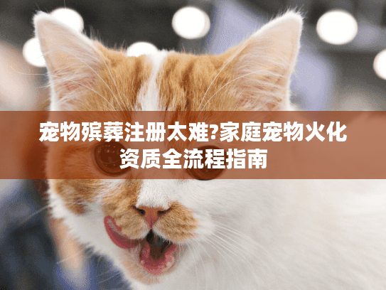 宠物殡葬注册太难?家庭宠物火化资质全流程指南