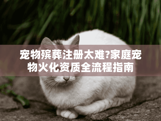 宠物殡葬注册太难?家庭宠物火化资质全流程指南