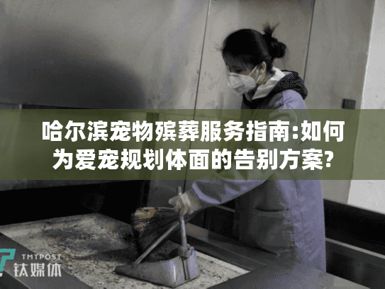 哈尔滨宠物殡葬服务指南:如何为爱宠规划体面的告别方案?