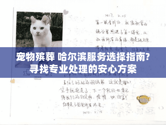 宠物殡葬 哈尔滨服务选择指南?寻找专业处理的安心方案