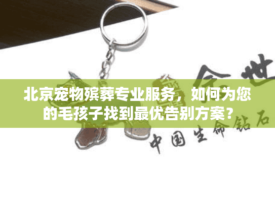 北京宠物殡葬专业服务，如何为您的毛孩子找到最优告别方案？
