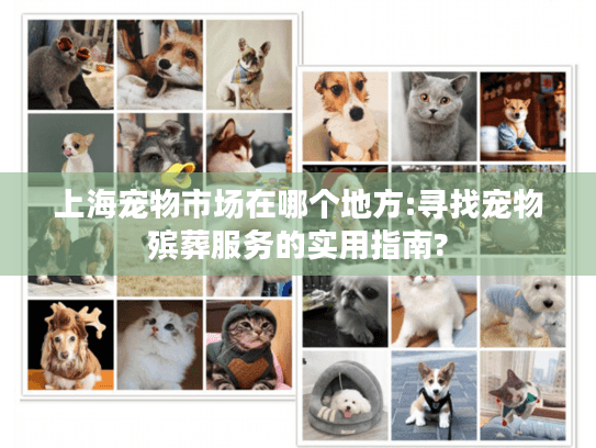 上海宠物市场在哪个地方:寻找宠物殡葬服务的实用指南?
