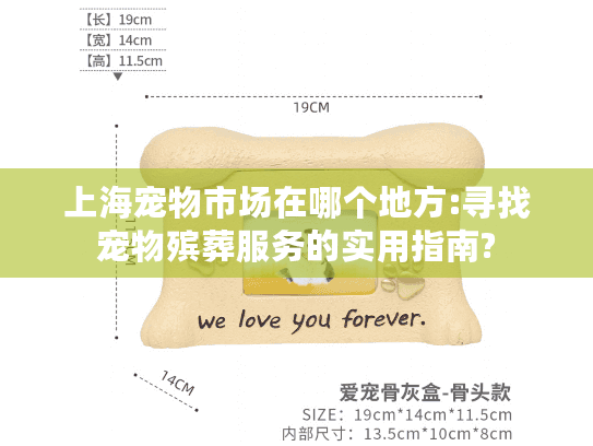 上海宠物市场在哪个地方:寻找宠物殡葬服务的实用指南?